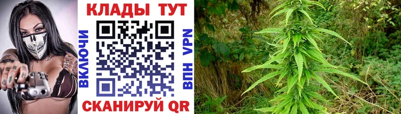 Где можно купить наркотики Валдай Cocaine ТГК ГАШ Марихуана Меф APVP