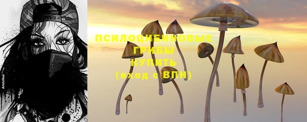 героин Богданович
