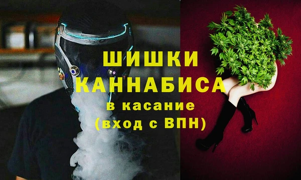 ГАЛЛЮЦИНОГЕННЫЕ ГРИБЫ Беломорск